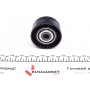 Ролик генератора Renault Trafic/Opel Vivaro 2.0DCI 06- (паразитний) (60х30)