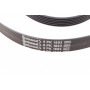 Ремінь генератора Ford Focus 1.4/1.6 98-05/Toyota Rav4 1.8 00-05/Daewoo Nubira 1.8/2.0 99-
