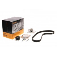 Комплект ГРМ + помпа Renault Clio/Kangoo/Megane/Scenic 1.5dCi 01- (27x123z)