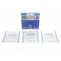 Кільця поршневі BMW 3 (F30, F80)/5(F10) 2.0d (N47 D20) 11-16 (83.96mm/STD) (1.75-1.75-2)