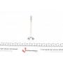 Клапан (випуск) Citroen Jumpy/Fiat Punto 1.6i/Tipo 1.4i 87-97 (31x8x109) (вальцювання)