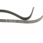 Ремінь генератора Mazda 323/626/ Opel Astra G/Vectra B/C 2.0/2.2 00-08