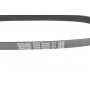 Ремінь генератора Citroen C1/Peugeot 107/Toyota Aygo 1.0 i 05-14