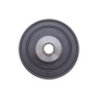 Шків колінвалу Renault Megane II/III/Scenic II/III 1.9dCI 01-