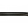 Ремінь генератора Citroen Berlingo 1.6 00-08/ Nemo 1.4i 08-