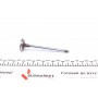 Клапан (впуск) Citroen Jumpy/Peugeot Expert 2.0HDi 16V 00- (30x6x106.2) (хромування)