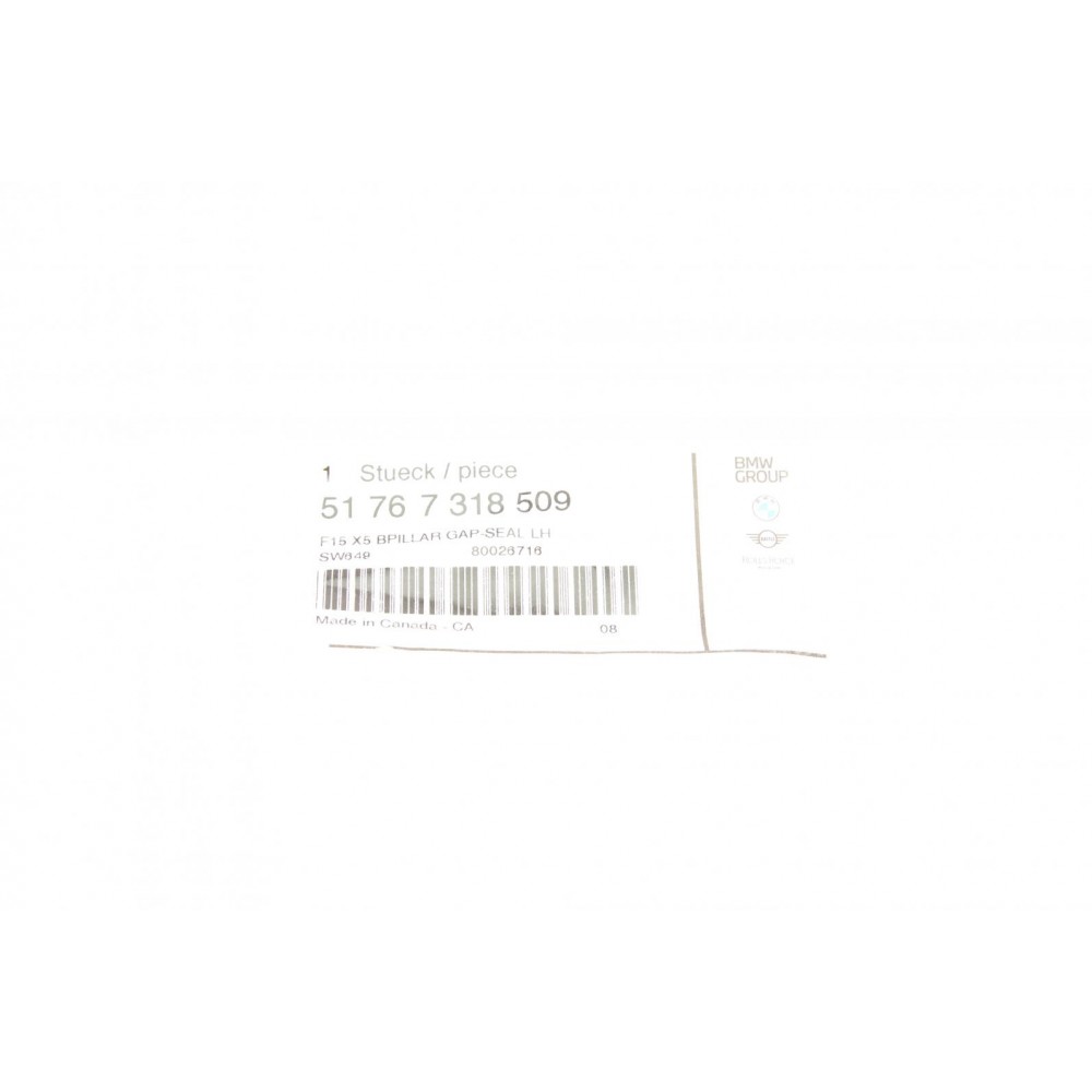 Ущільнювач дверей (задніх) BMW X5 (F15/F85) 13- (L)