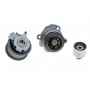 Комплект ГРМ + помпа  VW Caddy III 07-10-/Golf IV/V/Passat 1.9T/2.0 TDI 00-09