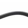 Ремінь генератора VW LT 2.8TDI 96KW/Ford Transit 2.0DI 00-14 (6PK1642)