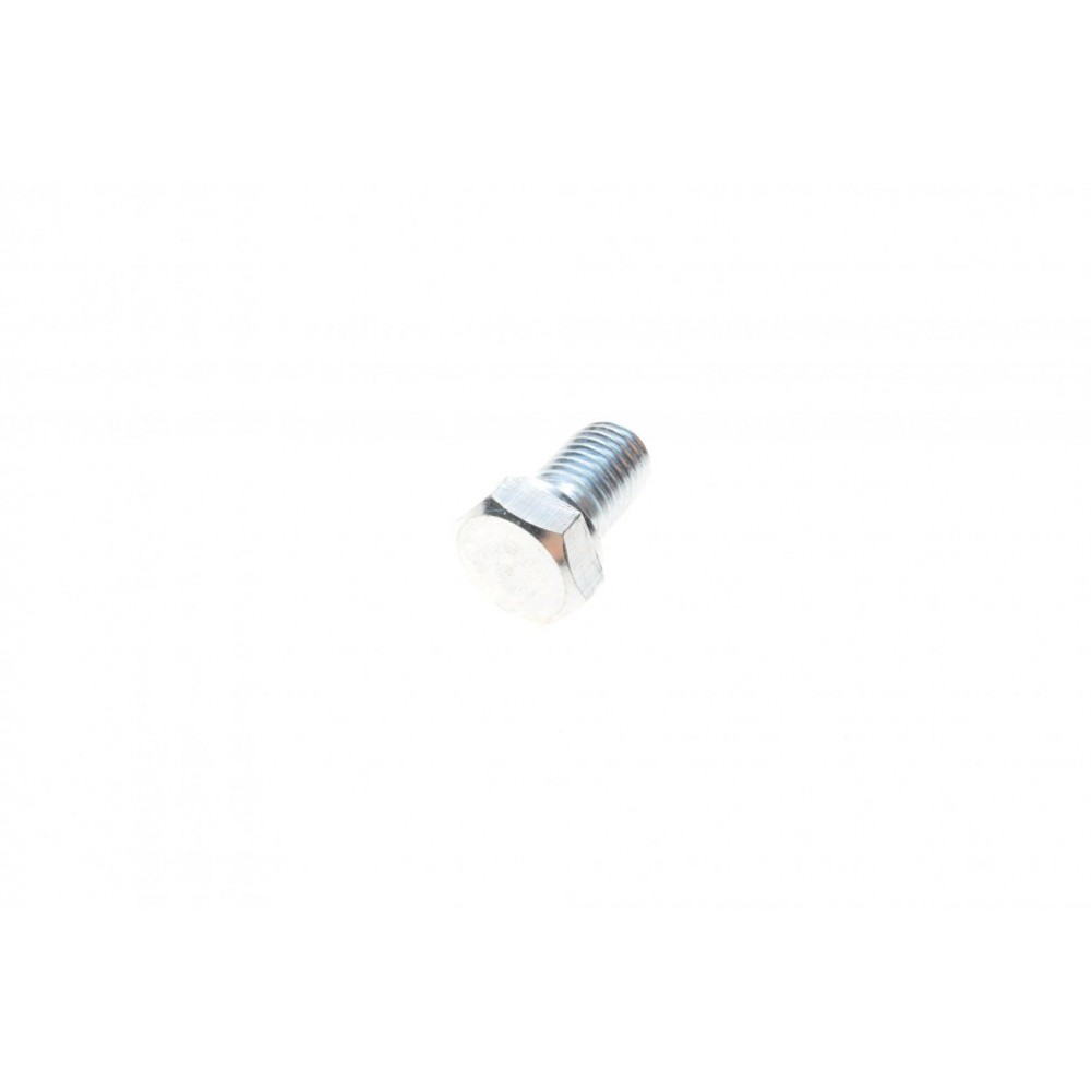 Болт зливу оливи BMW 3(E46)/5(E34/E39/E60) 97- (M12x1,5) M30/M40/M43/M52/M54