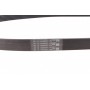 Ремінь генератора Renault Master 2.2/2.5dCi 00-/Peugeot 306/405 1.8/1.9D 93-01/Ford Fiesta 1.8 00-02