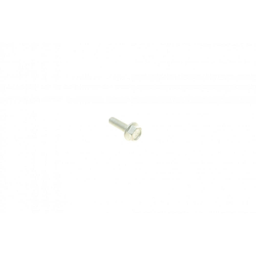Болт (M6x1x20mm)