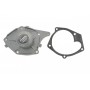 Помпа води Renault Kangoo/Megane/Scenic/Clio 1.5dCi 01-