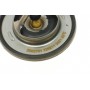 Термостат Renault Laguna 2.0dCi 07-15/Megane 1.2/1.4TCe 09-/Nissan Micra/Qashqai 1.2-2.0 07-13 (82°)