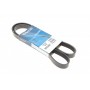 Ремінь генератора Hyundai i30 1.4i 07-12 (6PK1255)