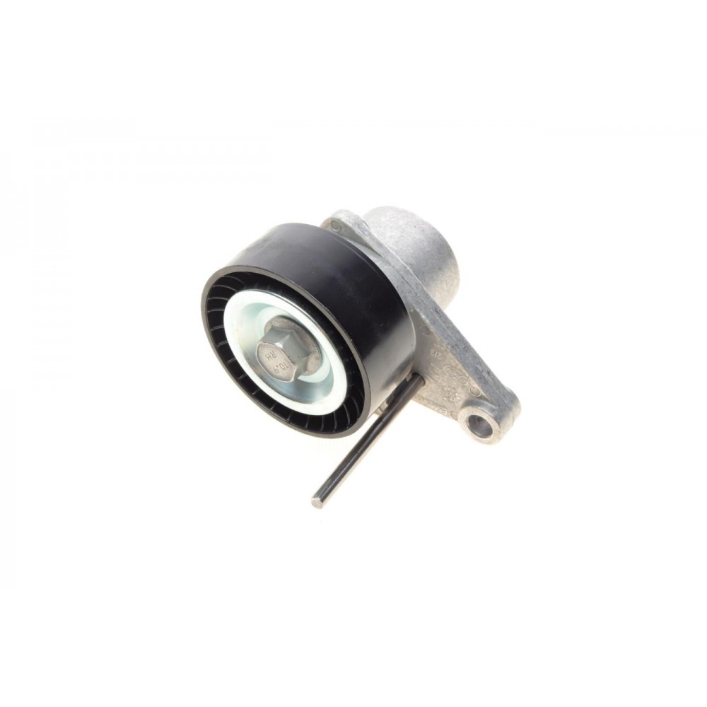 Натяжник ременя генератора Citroen C2/C3/C4/Peugeot 207/307 1.1-1.6 00-