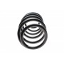 Пружина (передня) Opel Antara A 2.0 CDTI 4x4 10-15/Chevrolet Captiva 2.0D 4WD 11- (SUV)
