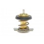 Термостат Citroen Jumper/Fiat Ducato/Peugeot Boxer 3.0HDI 06-