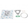 Комплект прокладок турбіни Citroen Jumper/Fiat Ducato/Peugeot Boxer 2.2 HDi 06-