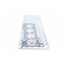 Прокладка ГБЦ Fiat Ducato/Iveco Daily 2.3D 02-