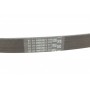 Ремінь генератора VW Caddy/Golf/Polo/Passat 1.0-1.4TSI 15-/Audi A3/Q3 1.0-1.4TFSI 13-