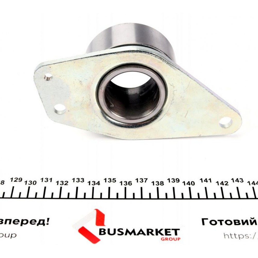 Ролик ГРМ Renault Kangoo 1.9dCi 01- (паразитний) (65х30.8)