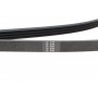Ремінь генератора Man TGL/TGL 4.7/6.9 05- (4PK1381)