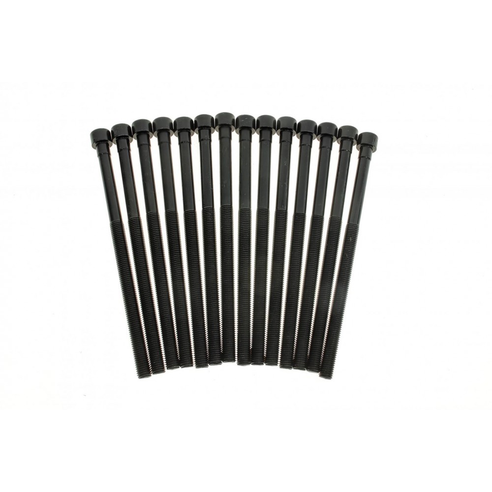 Комплект болтів гбц (14шт) BMW 3 (F30/F80)/5 (G30/F90)/X3 (G01/F97) 15- B46/B48