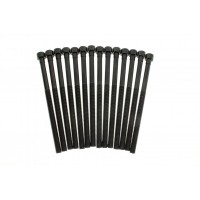 Комплект болтів гбц (14шт) BMW 3 (F30/F80)/5 (G30/F90)/X3 (G01/F97) 15- B46/B48