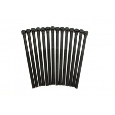 Комплект болтів гбц (14шт) BMW 3 (F30/F80)/5 (G30/F90)/X3 (G01/F97) 15- B46/B48