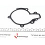 Помпа води Chevrolet Lacetti/Nubira/Captiva 2.0D 07-/Cruze 2.0CDI 09-