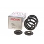 Пружина (задня) VW T5/T6/Multivan V/VI 1.9-2.0TDI/2.5TDI/3.2 V6 03- (фургон/з борт.пл)(з пост.діам)