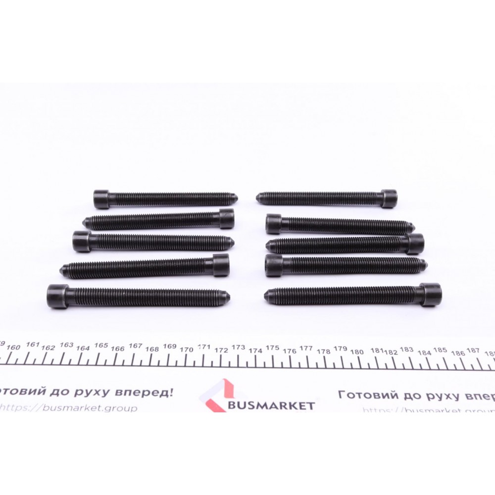 Болти головки (к-кт 10шт.) Audi A3/A4/A6/Skoda Octavia/VW Bora/Golf IV/Passat 1.8 95-