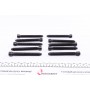 Болти головки (к-кт 10шт.) Audi A3/A4/A6/Skoda Octavia/VW Bora/Golf IV/Passat 1.8 95-