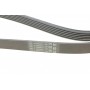 Ремінь генератора VW T4 2.4D/2.5TDI 90-03/Ford Fiesta 1.25-1.6 95-02