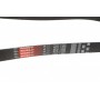 Ремінь генератора Citroen Berlingo/Peugeot Partner 1.6HDI (-AC) ch.10571-