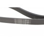 Комплект ременя генератора VW T5 1.9 TDI 03-09/Audi A3 1.9 TDI 00-03 (6PK1120)