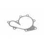 Прокладка помпи води Nissan Pathfinder 25 dCi 05-/X-Trail 2.2 dCi 01-13