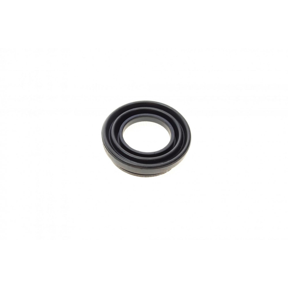 Ремкомплект супорта (заднього) Renault Megane/Scenic 08- (d=34mm) (TRW) (+поршень/направляюча)