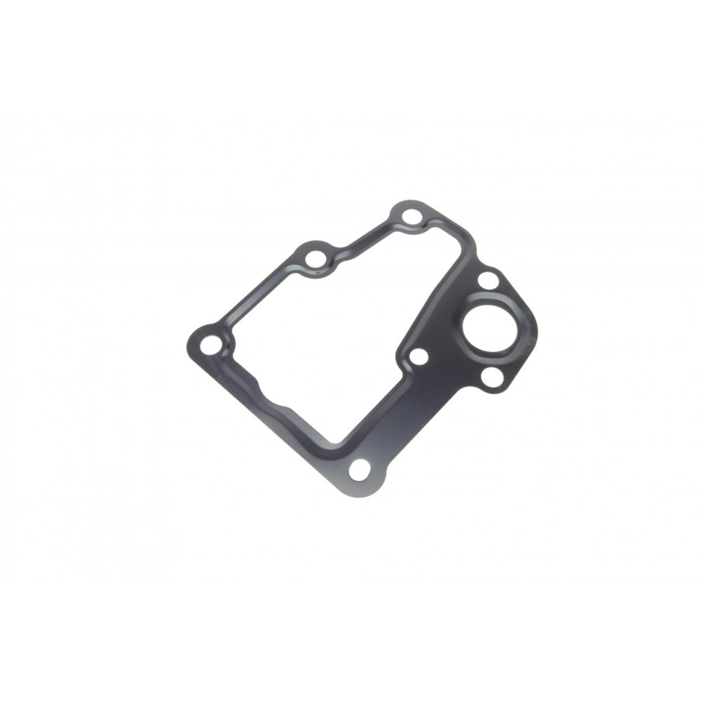 Прокладка термостату Citroen C4/C5/Peugeot 307/308/407 04-