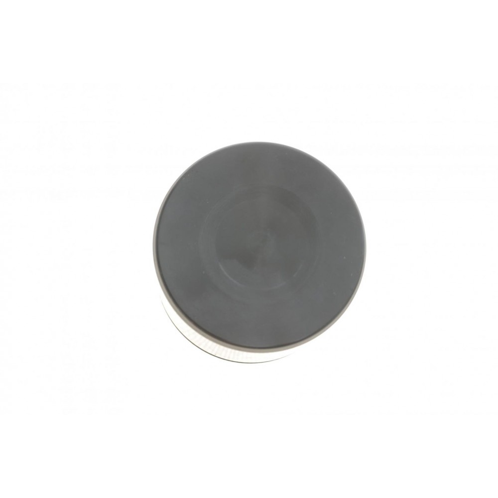Поршень супорта (переднього) VW Passat 08-14 (60x53.5mm) (TRW)