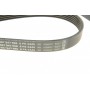 Ремінь генератора MB E-class (W211) 5.5 02-08 (M113)/Land Rover Range Rover 5.0SCV8 13- (6PK2445)