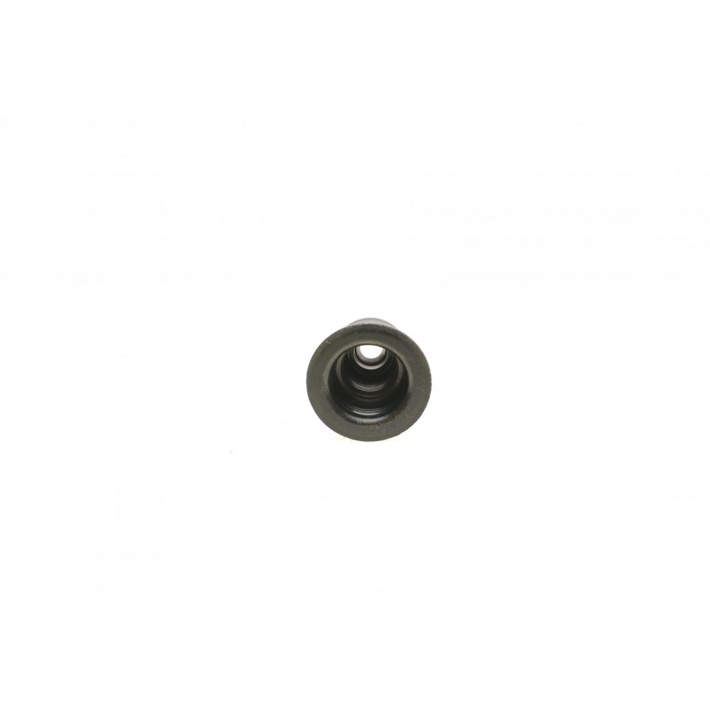 Сальник клапана (впуск) BMW 1/2/3/4/5/7 B38/B46/B48/N20 1.5/2.0 11- (к-кт)