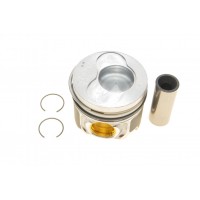 Поршень VW T5 2.5TDI (81.01mm/STD) (3-4-5 циліндр) (косий шатун)