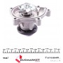 Помпа води MB A-class (W169) 160CDI/180CDI 2.0 OM640 08-12 (R/B) (6 лоп)