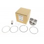 Поршень Ford Focus III/Galaxy III/Mondeo V 1.5 EcoBoost 14- (79.00mm/STD)