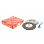 Комплект зчеплення Citroen C5/Peugeot 206/207/307 1.6 HDi 03- (d=225mm) (+вижимний)