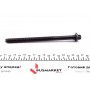 Болти головки (к-кт 10шт.) Peugeot 306/406/Citroen Xsara 1.8i 95-03
