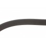 Комплект ременя генератора Renault Clio/Kangoo/Megane/Scenic 1.5dCi 01- (6PK1198)