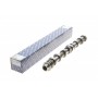 Розподільний вал BMW 5 (F10/F11) 11-16/X5 (F15/F85) 2.0 i (N20) 15-18 (випуск)